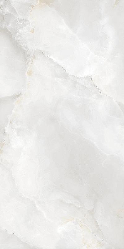 Керамогранит Artcer Onix Vien Grey Poli 878 60x120