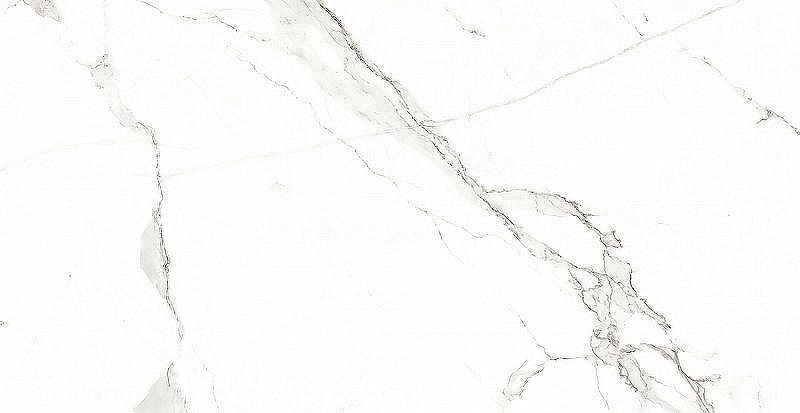 Керамогранит Azario Statuario Classic Matt F2020821120M 60х120 см