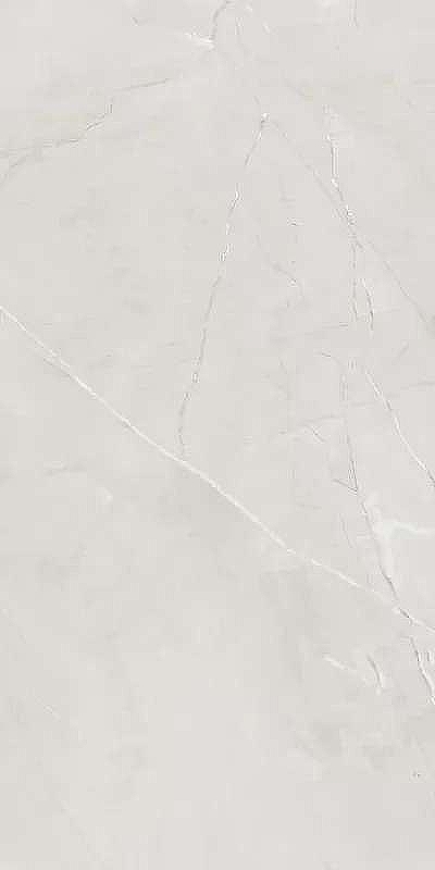 Керамогранит Belleza Armani Harbor Silver Glossy СК000043622 60х120 см
