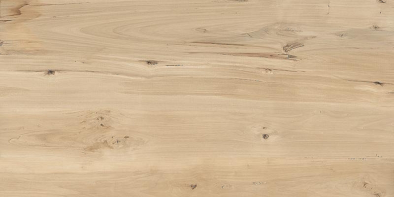 Керамогранит Buono Ceramica Forest Sweet Home Matt FVL4511M 60х120 см