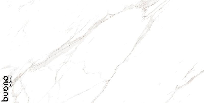 Керамогранит Buono Ceramica Marble Carrara Livia Glossy M4401P 60х120 см
