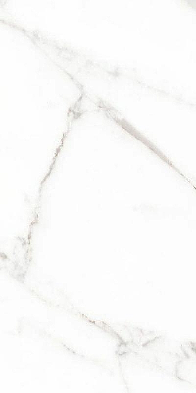 Керамогранит Caesar Anima Statuario Venato Rett Lucidato ACST 60х120 см