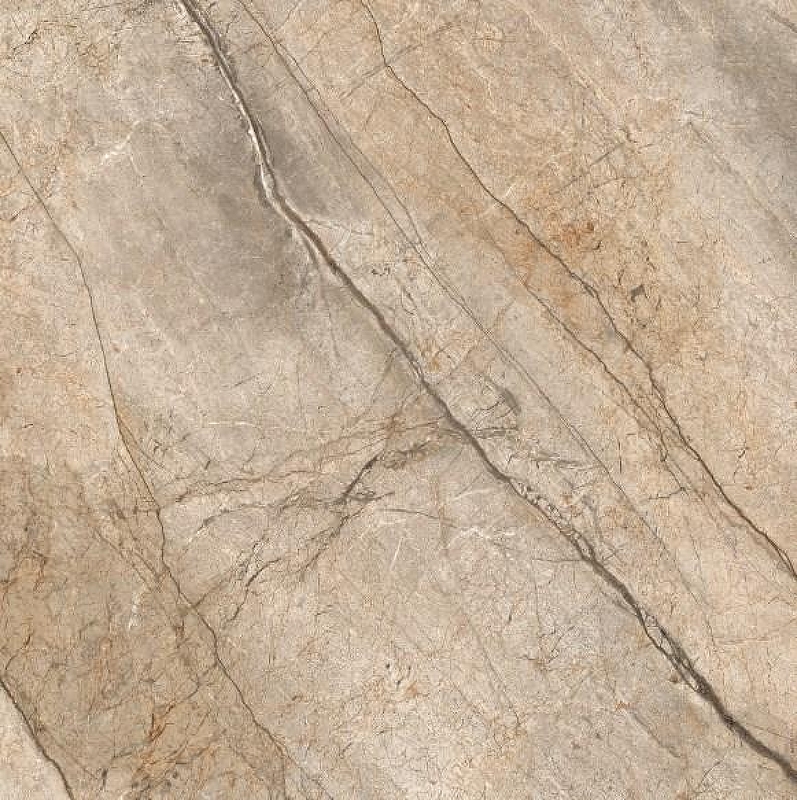 Керамогранит Ceramica D Imola The Room 166860 120x120 см