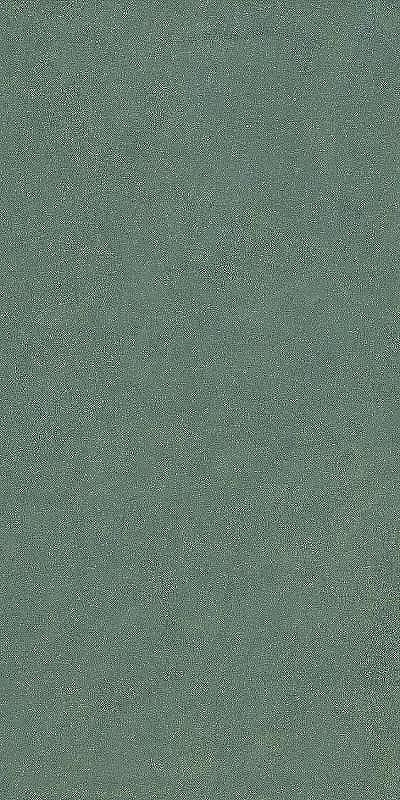 Керамогранит Ceramiche Piemme Homey Sage Nat 05222 60х120 см