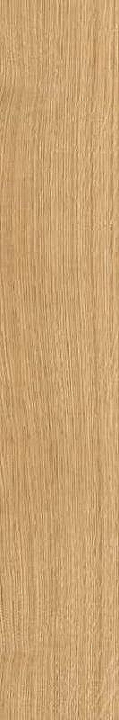 Керамогранит Ceramiche Piemme Solorovere Flamed Nat 05389 20х120 см