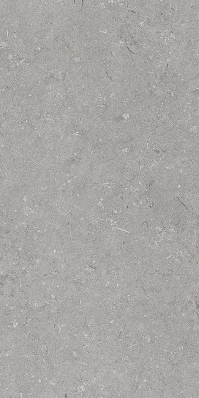 Керамогранит Dado Ceramica Shellstone Grigio 005485 60х120 см