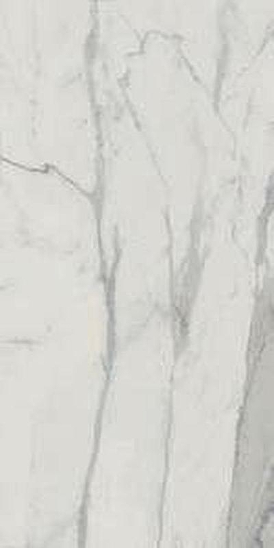 Керамогранит Edilcuoghi Edilgres Italian Marble Statuario Matte n149495 60х120 см