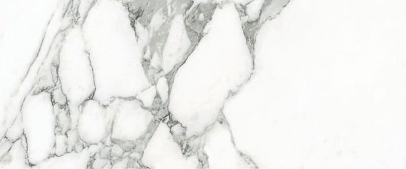 Керамогранит Emil Ceramica Tele Di Marmo Selection Arabescato Corchia Naturale EJVR 60х120 см