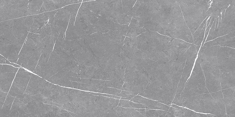 Керамогранит Eternal Alcora Gris ETSTN1203MT60120 Matt 60х120 см