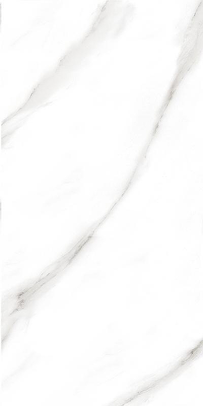 Керамогранит Eurotile Madison mat 818 MDO1WT 60х120 см