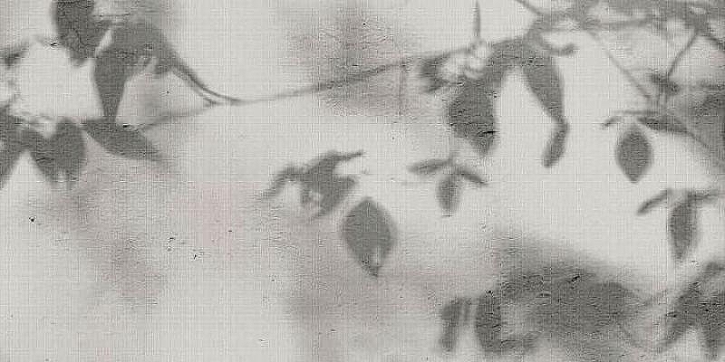 Керамогранит Flaviker Art Walls Shadow Nat PF60012582 60х120 см