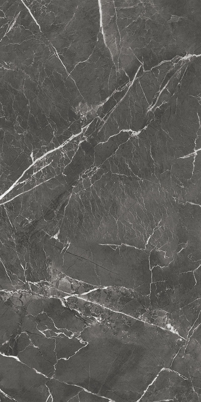 Керамогранит GlobalTile Oscar GT1206019809MHRR Темно-серый Матовая 60х120 см