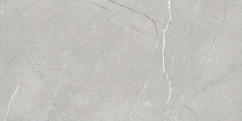 Керамогранит Gravita Larice Grey 60х120 см