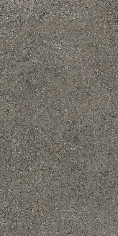 Керамогранит Italon Discover 610010002730 120x60 см