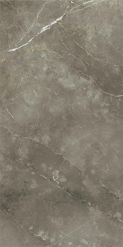 Керамогранит Italon Stellaris Tuscania Grey люкс 610015000688 80х160 см