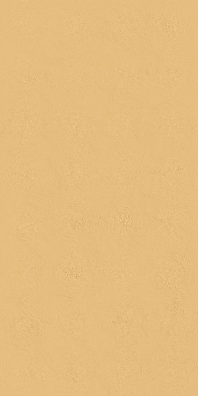 Керамогранит Italon Surface 610015000437 120x60 см