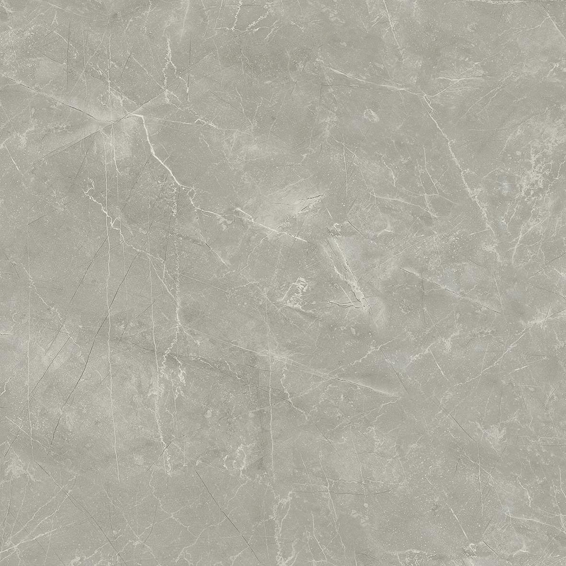 Керамогранит Laparet Wolf Grey Керамогранит 80х80 80х80