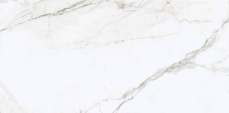 Керамогранит Naxos Ceramica Rhapsody Emotion Naturale Rettificato 120124 60x120 см