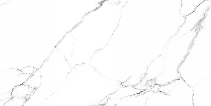 Керамогранит Neodom Splendida CV20222 Mckinley Polished 60х120 см