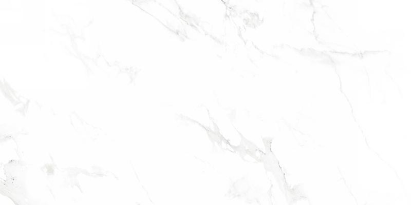 Керамогранит Neodom Splendida N12003 Venus Bianco Polished 60х120 см