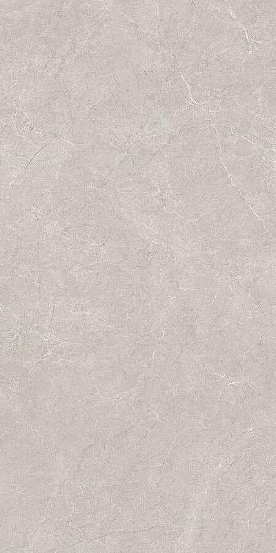 Керамогранит Neodom Techno Matt Aristo Grey TM N20497 80х160 см