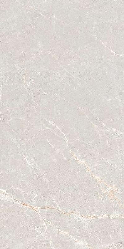 Керамогранит Neodom Techno Matt Persian Grey TM N20500 80х160 см