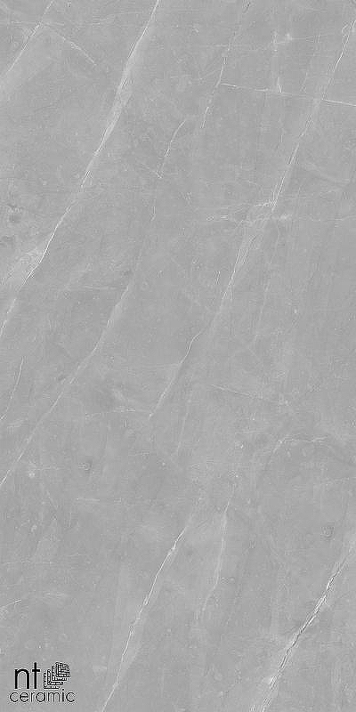 Керамогранит NT Ceramiс Granite Limestone Grey Structura NTT99617M 60х120 см