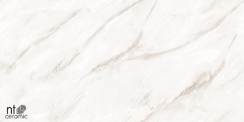 Керамогранит NT Ceramiс Marmo Empire Pearl Endless NTT99525P 60х120 см