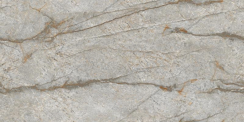 Керамогранит NT Ceramiс Marmo Forest Carving NTT99517M 60х120 см