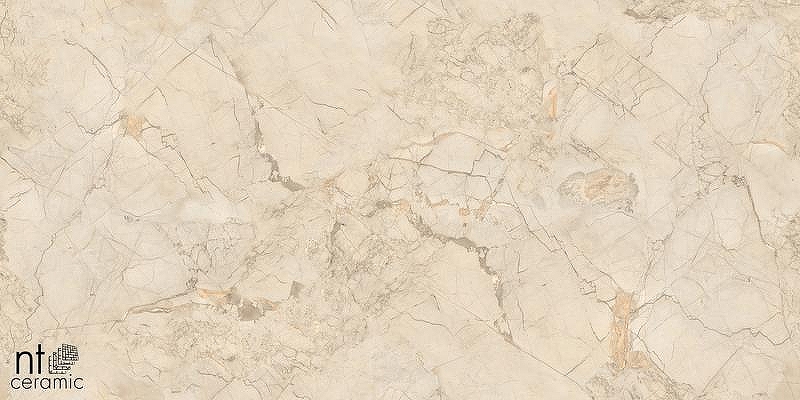 Керамогранит NT Ceramiс Marmo Ivory Endless NTT99515M 60x120 см