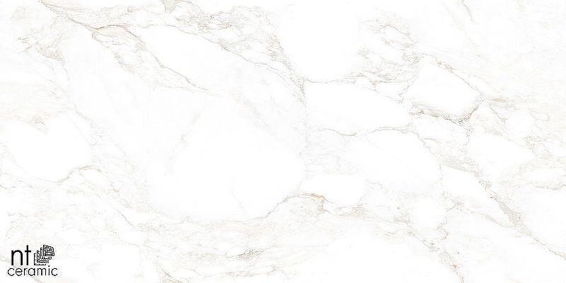 Керамогранит NT Ceramiс Marmo Marble Extra Endless mat NTT99526M 60х120 см