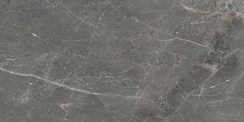 Керамогранит Ocean ceramic 60х120 Tulip Grey OC0000117 60х120 см