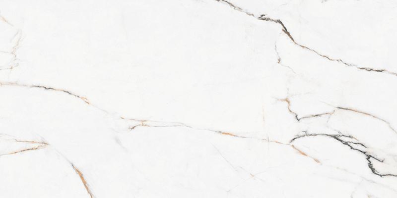Керамогранит Pamesa Ceramica Marbles 004.869.0103.09878 Белый Полированный 60x120 см