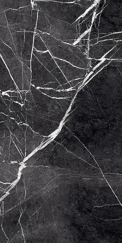 Керамогранит Primavera Fedele Negro High glossy GR203 60x120 см