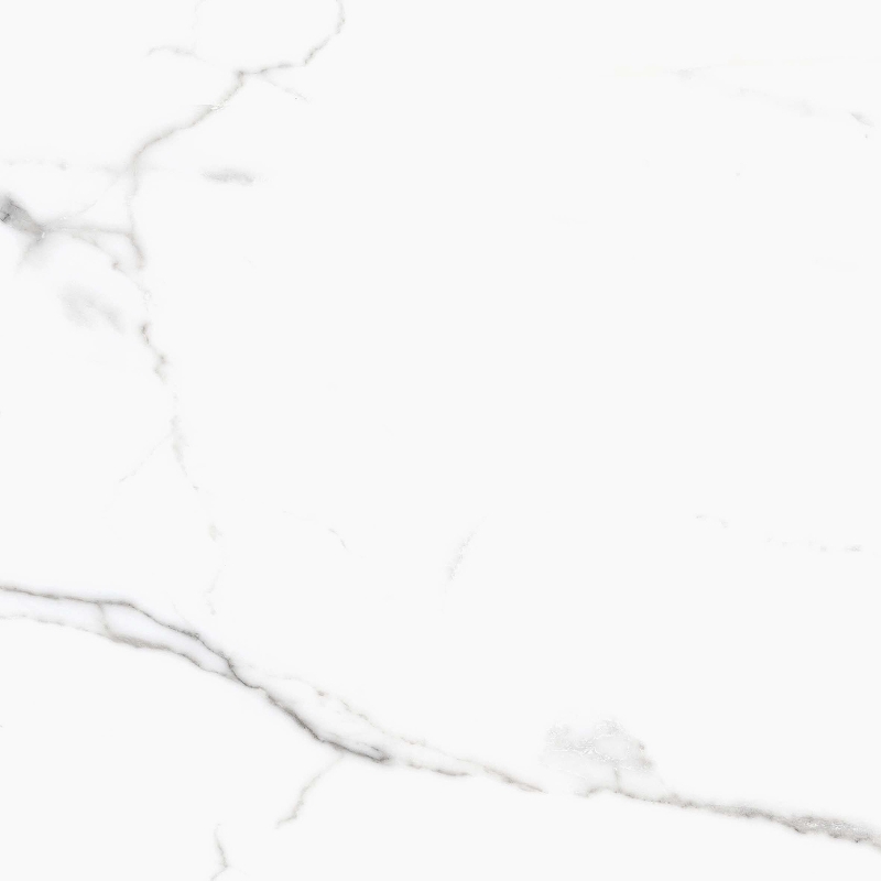 Керамогранит Primavera Salvatore Polished PR107 60x60 см