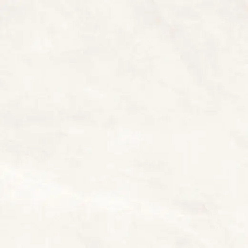 Керамогранит Prissmacer Isea White 78901634 60х60 см