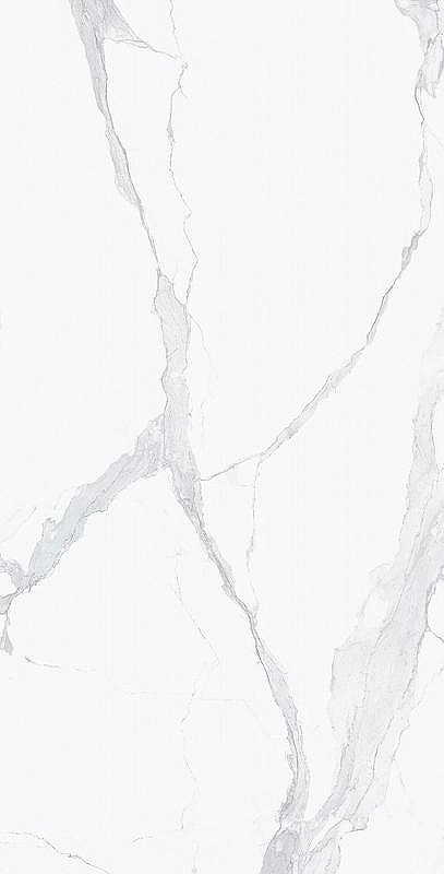 Керамогранит Rex (Florim) I Classici di Rex Statuario Glossy Ret 746592 60x120 см