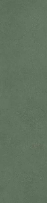Керамогранит Simpolo Spectra Herbs MPL-061915 5,8х25 см