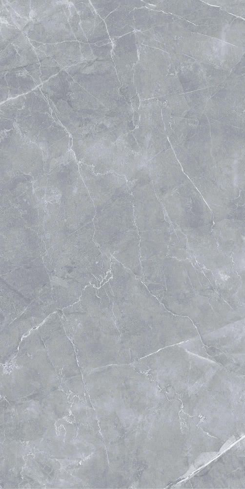 Керамогранит Staro Silk Gilio серый матовый 1200x600x9 мм (2 шт.=1,44 кв.м)