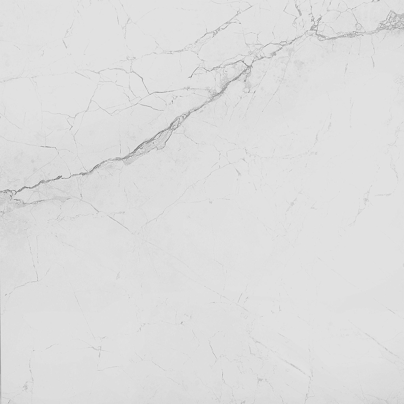 Керамогранит WellWant Special WW-1604 Carrara 60x60 см