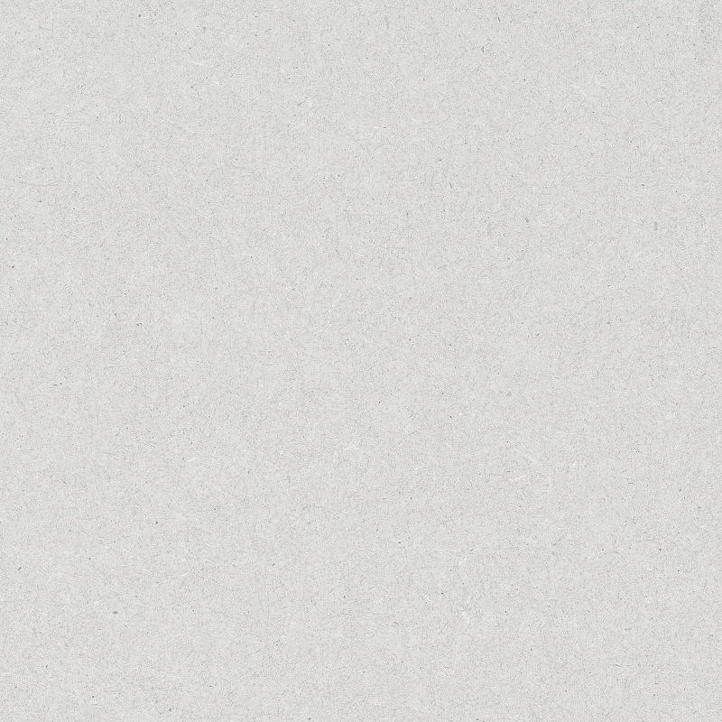 Керамогранит WellWant Special WW-1606 White stone 60x60 см