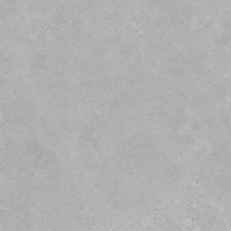 Керамогранит WellWant Special WW-1610 Beton Grey 60x60 см