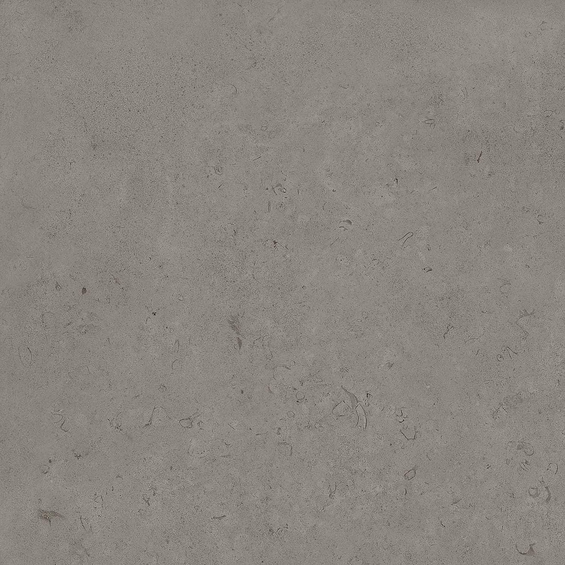 Керамогранит WellWant Special WW-1612 Dark matt 60x60 см