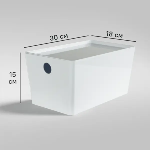Контейнер 30x15x18 см 6.8 л ПЭТ с крышкой цвет белый