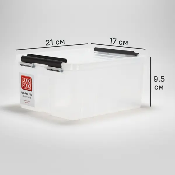 Контейнер Rox Box 21x17x9.5 см 2.5 л пластик с крышкой цвет прозрачный