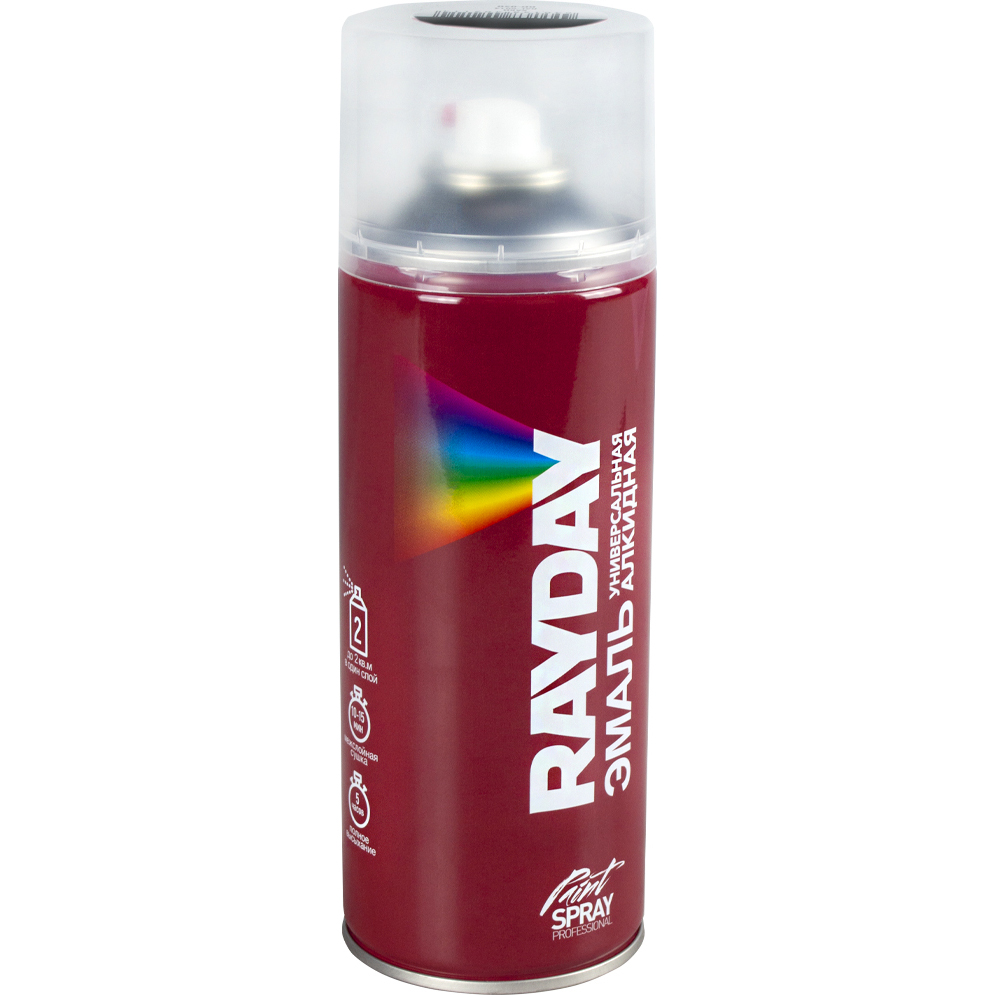 Краска RAYDAY Ral 9005 черный глянцевый 520 мл