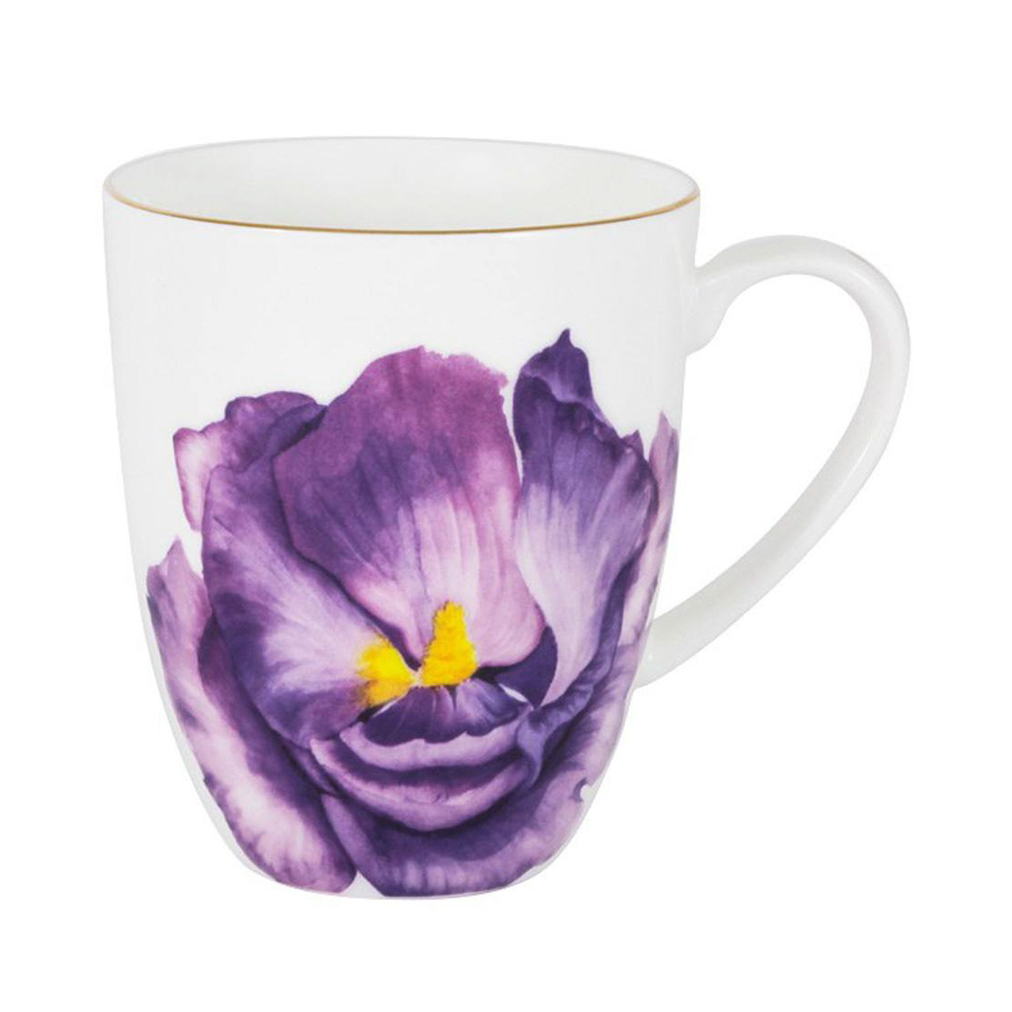 Кружка Anna Lafarg Emily Iris Flowers 400 мл