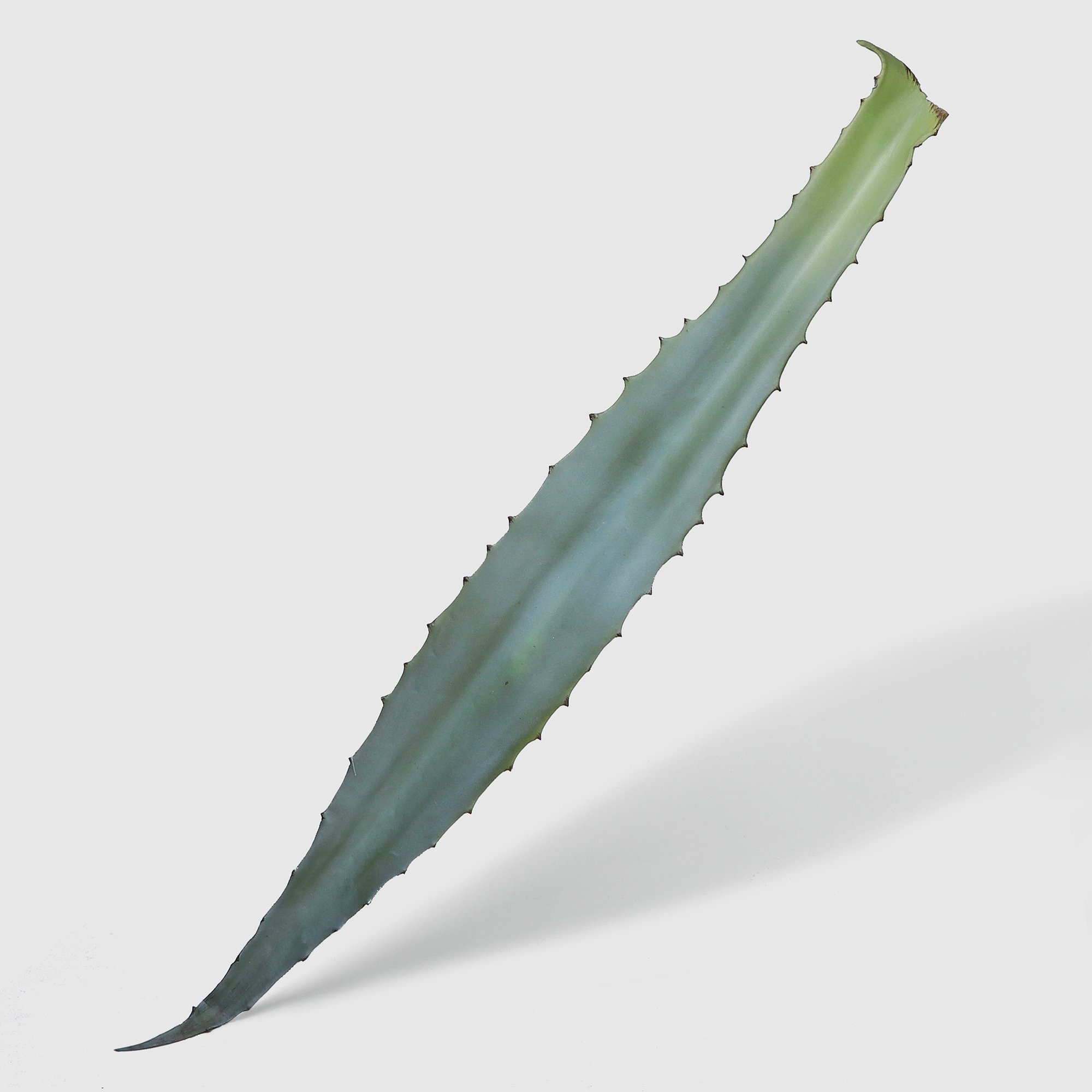 Лист Edg aloe vera искусственный 98 см
