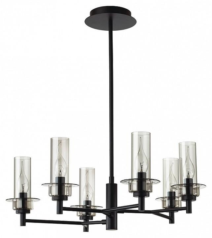Люстра на штанге Lumion Madonna 6555/6C цвет плафона/подвески Светло-серый, цвет арматуры Черный