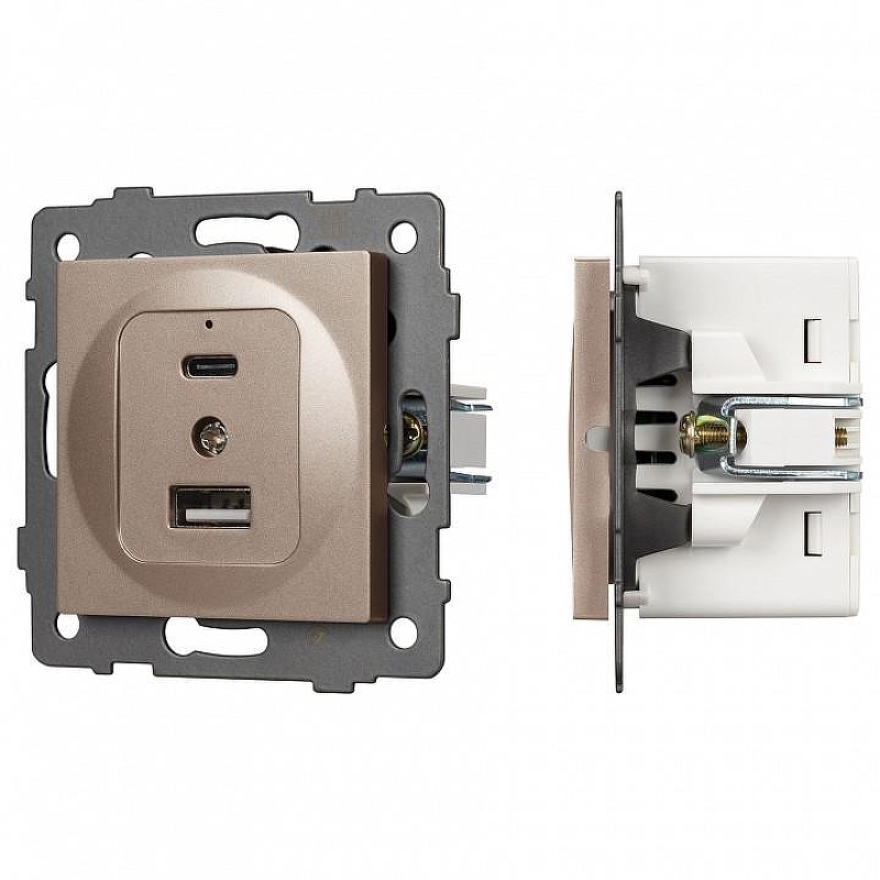 Механизм розетки 2хUSB type A и C Arlight SCT 049841 цвет Золото